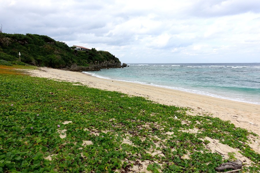 Okinawa Nakijin Ocean View / Hill Top Land Properties Solid Real Estate