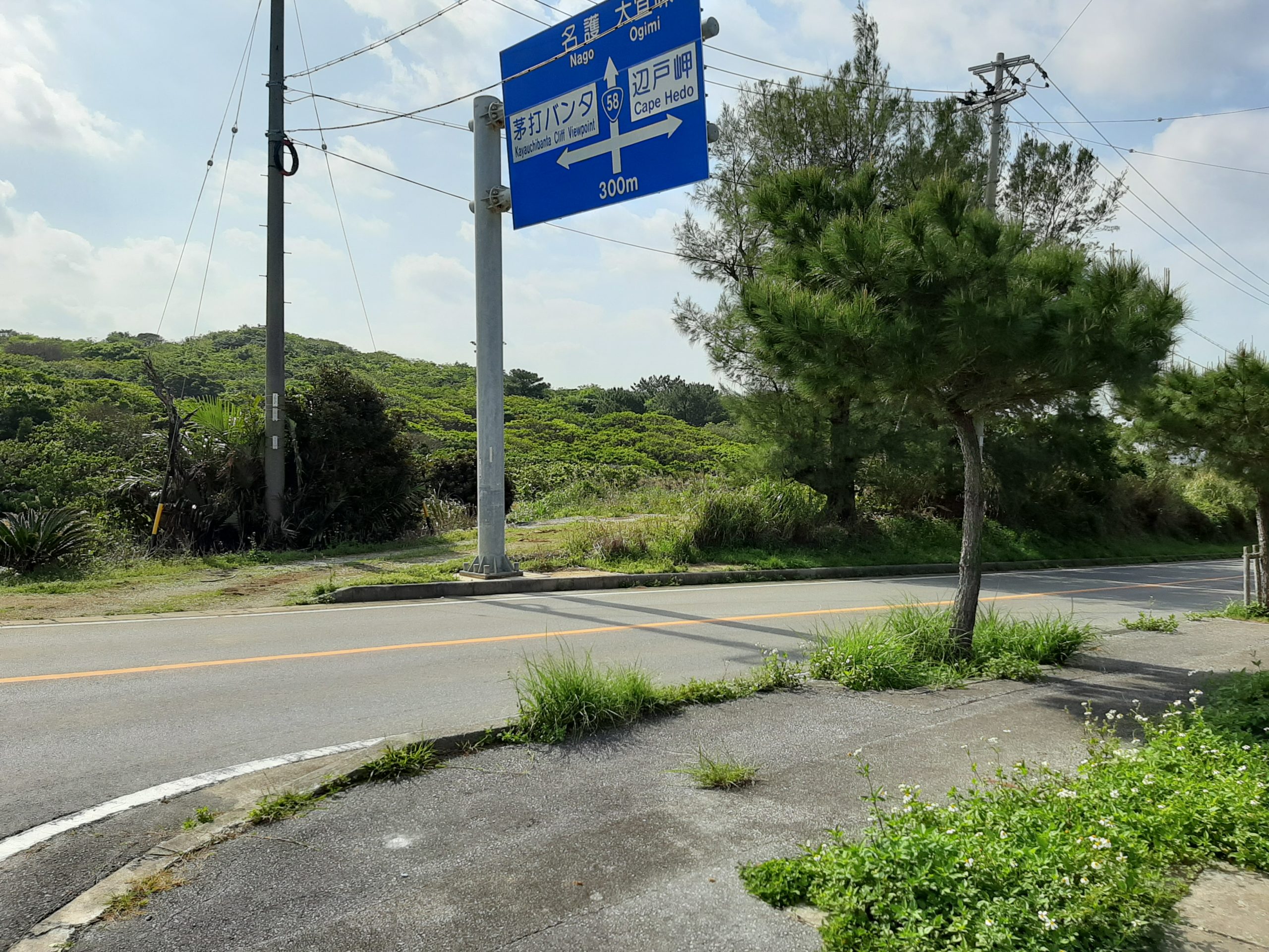 Okinawa Oceanview Land for SALE Properties Solid Real Estate