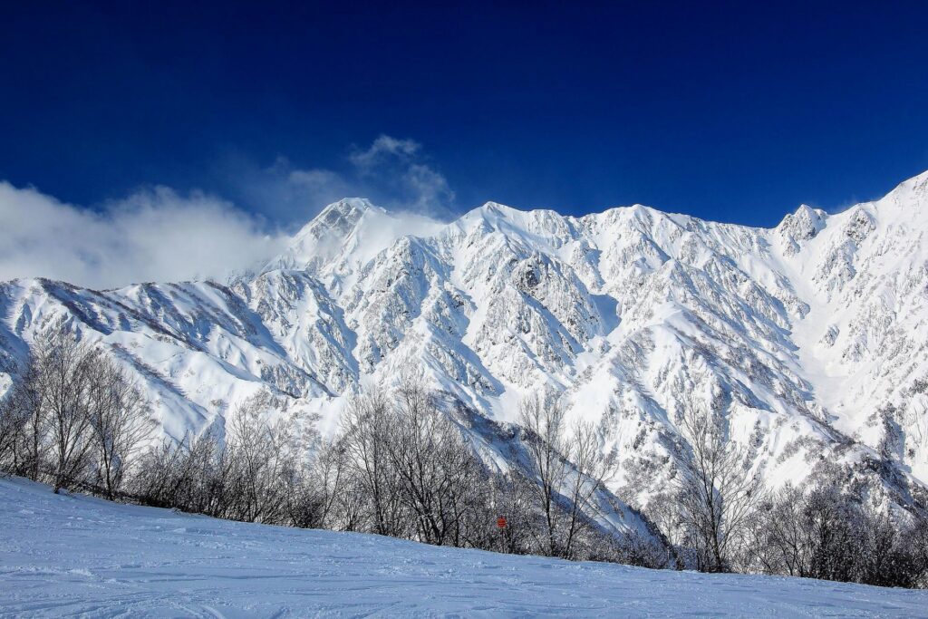 header_image